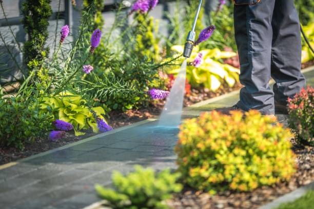 Best Pre-Holiday Cleaning  in Round Lake, IL